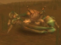Image of Monstrous Crawler