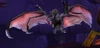 Plagued Bat