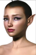 Dawn2