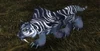 Moonstalker Sire