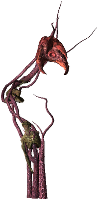 200px-Bestiary_Archespore_full.png