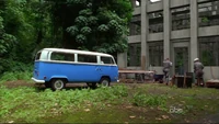 5x01 Old Orchid.jpg