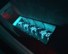Ep1 citadel mechanisms