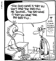 Realitycheck11705