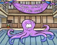 Summer Water Dojo