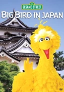 Bigbirdinjapan