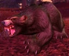 Elder Brown Bear