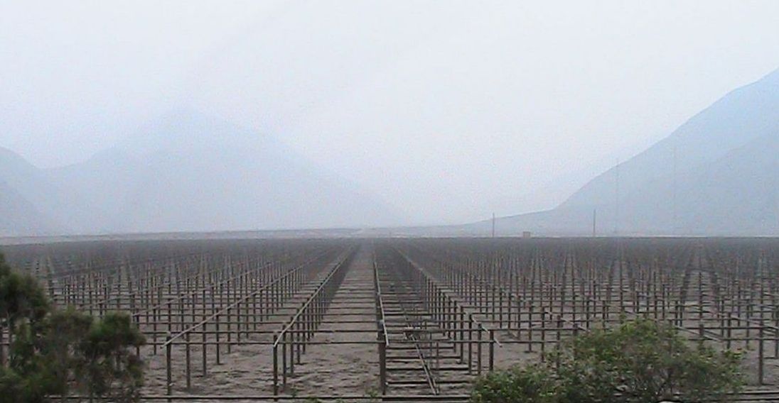 Jicamarca radar vineyard cropped