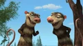 Crash and Eddie.jpg