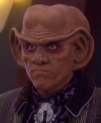 Quark2375.jpg