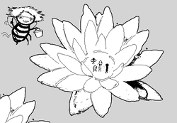 Flower Afterlife