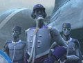 Pantorans.jpg