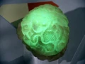 Provider 2.jpg