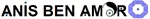AnisSigII.PNG