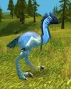 Elder Plainstrider