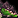 IconSmall ProtoGreen.gif