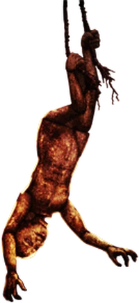 Childqg3