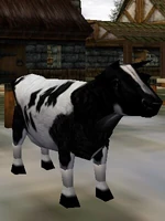 Cow (Creature) Live