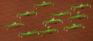 Gridbugs running
