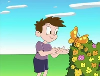 BoyButterflies