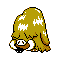 Piloswine plata variocolor