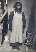 Botelhocostume