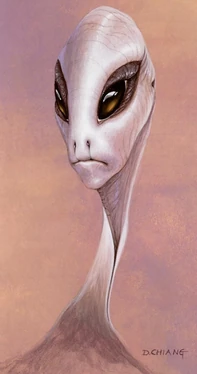 Kaminoan