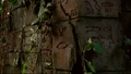 5x05-tempel-hiero2.jpg
