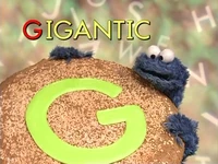 Letterofthedayg1.jpg