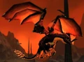 Black Drake.jpg