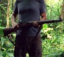 M1 Rifle