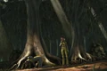 Perlote Tree.jpg