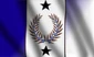 ONEflag