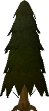 Arctic pine.gif