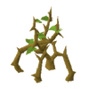 Medium jungle.gif