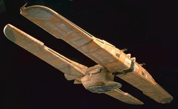C-9979.jpg