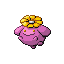 SkiploomRFVH variocolor