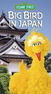 BBinJapanVHS