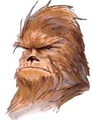 Broadside Wook.jpg