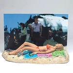Shannon Figure