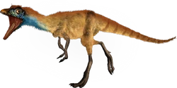 Compsognathus