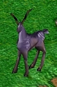 Stag.jpg (23 KB)