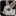 Inv misc rabbit