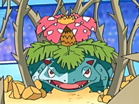 Un Venusaur usando planta feroz en el Gran Festival de Kanto.