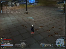 SKITTERINNSNSNSNSNSSSSS 2