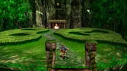 Banjo-Tooie Csmall