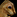 IconSmall GroundSquirrel