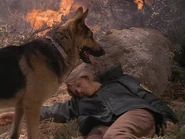 The.Bionic.Woman.S03E02.DVDrip.XviD-SAiNTS.avi 001876440