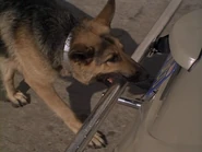 The.Bionic.Woman.S03E01.DVDrip.XviD-SAiNTS.avi 002393640