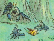 Yobcrab.JPG